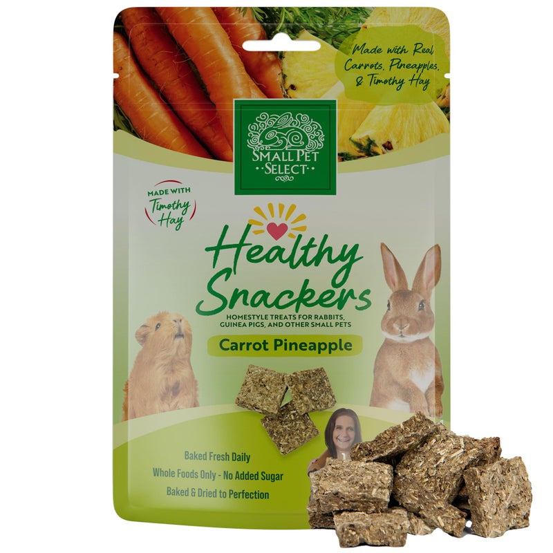 Small Pet Select - Healthy Snackers - Carrot/Pineapple - Image 1